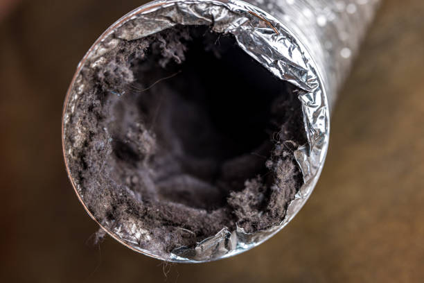 Best Commercial Air Duct Cleaning  in Tularosa, NM
